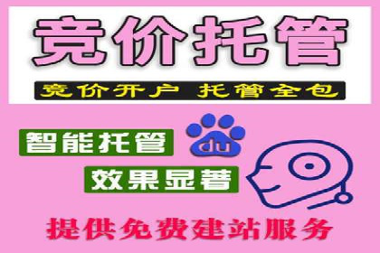 竞价SEM在旅游行业的应用案例分析